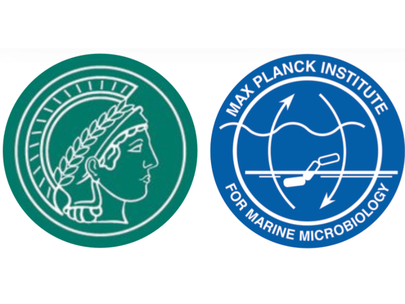 PhD student to study bivalve transmissible cancers