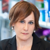  Andrea Schietinger